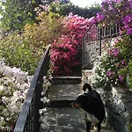 Διαμέρισμα Casa Alice
