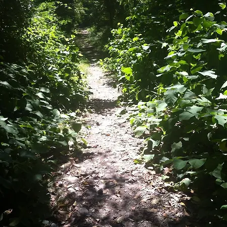 Appartement Casa Alice *