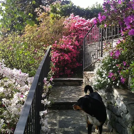 Lägenhet Casa Alice