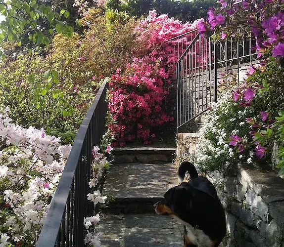 Apartament Casa Alice