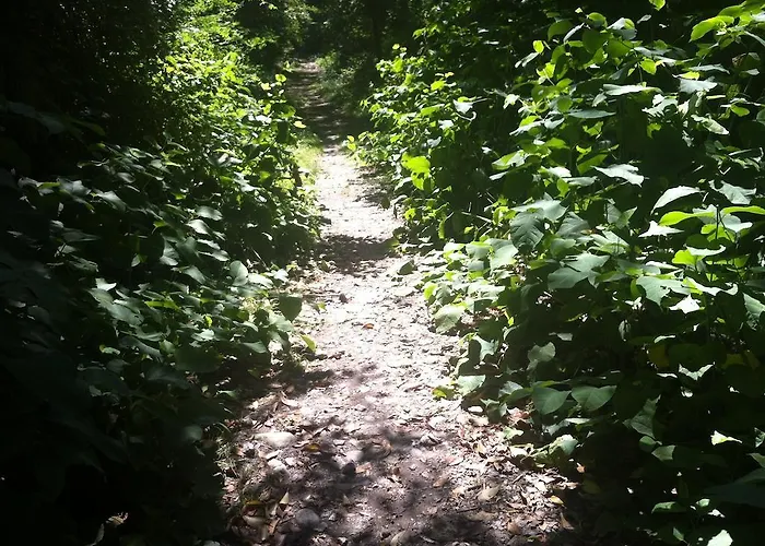 아파트 Casa Alice *